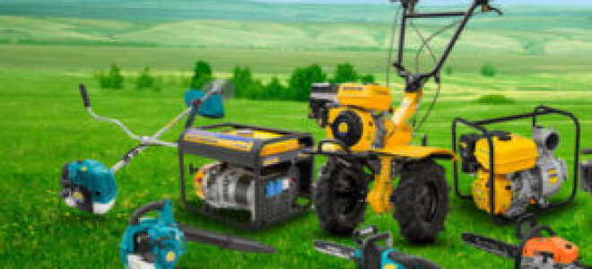 Мотоблоки и бензопилы: эффективные инструменты для сельского и лесного хозяйства