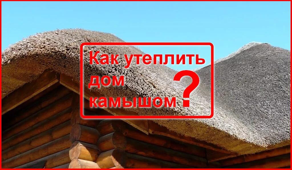 Камыш