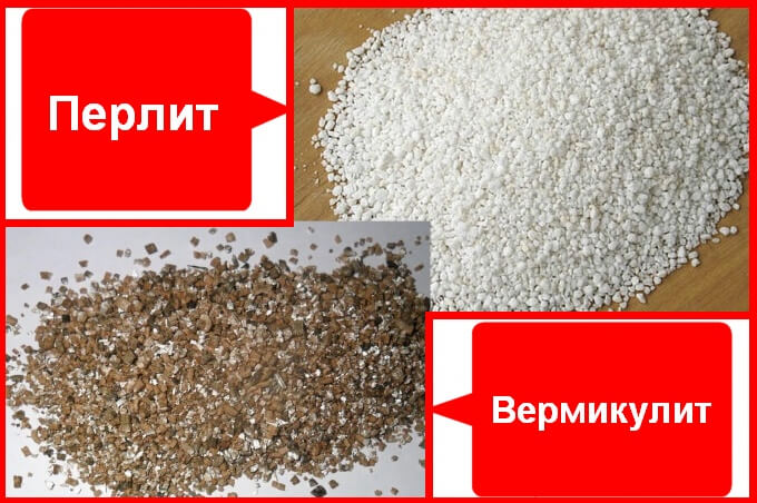 Перлит и вермикулит