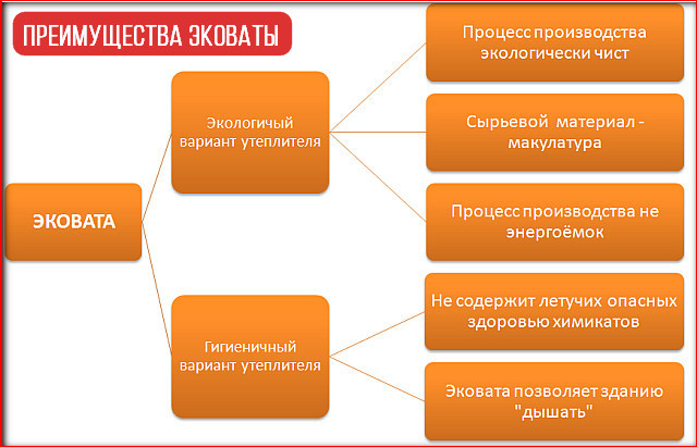 Характеристика эковаты
