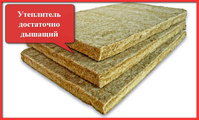 эколен