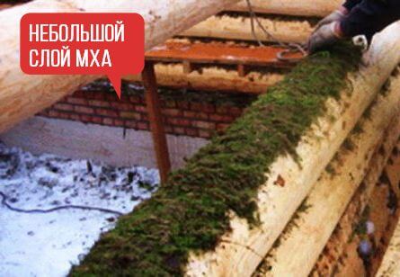 МОХ СФАГНУМ ДЛЯ УТЕПЛНИЯ БРУСА