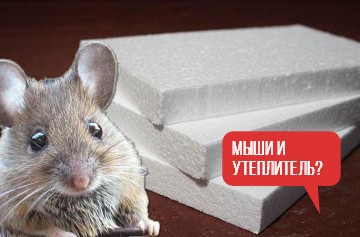 МЫШИ И УТЕПЛИТЕЛЬ