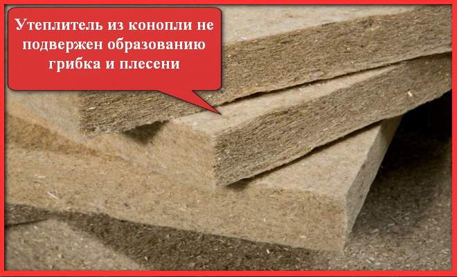 конопля