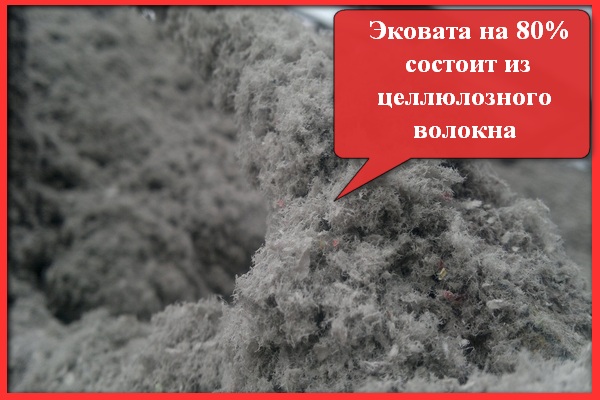 эковата