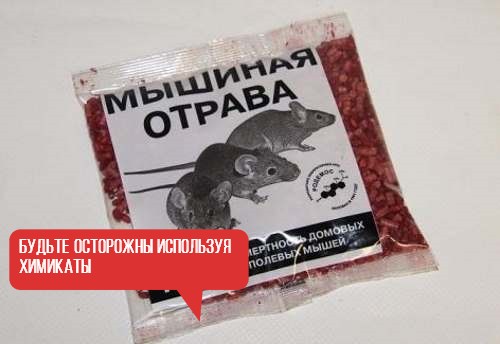отрава для мышей