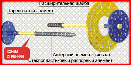 схема строения зонтика